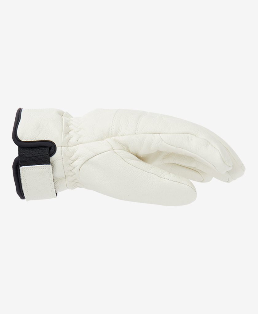 ALPHELIA GLOVE, Snow